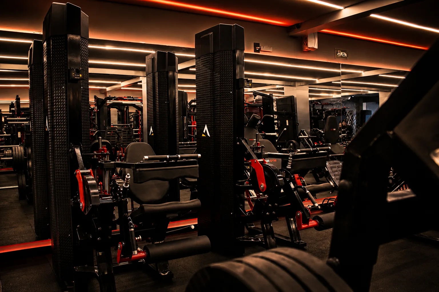 Estrutura QR GYM — 01